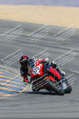 media/Mar-23-2025-CVMA (Sun) [[674f32b282]]/Race 6-Stock 1000 Shootout/